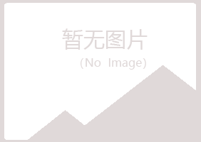 乐都县夏日化学有限公司